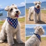Copy of Clip-On Pet Bandana — Blue Paw Print Dog Bandana Collar Accessory