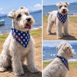Copy of Clip-On Pet Bandana — Blue Paw Print Dog Bandana Collar Accessory